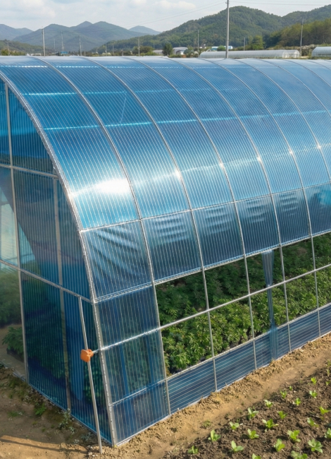 농업용 온실에 적용된 하이브리드 태양전지 APV 기술
